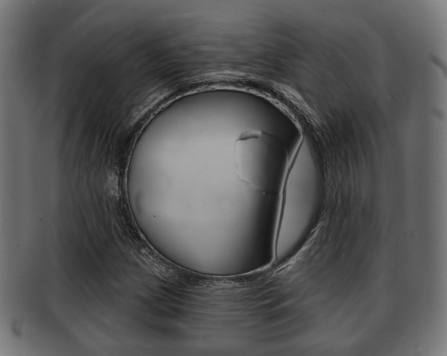 X0000091951209200709061032