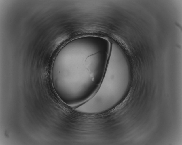 X0000091951210200709061032