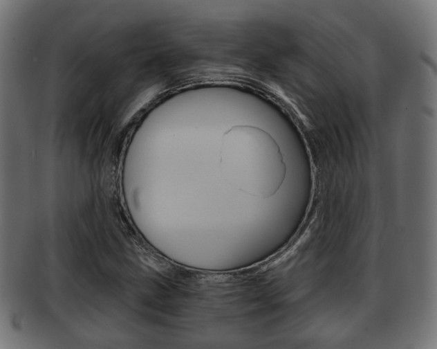 X0000091951211200709061032