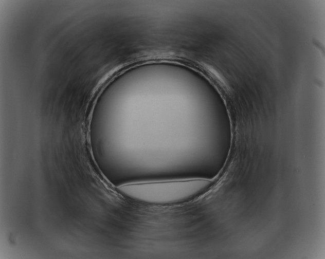 X0000091951212200709061032