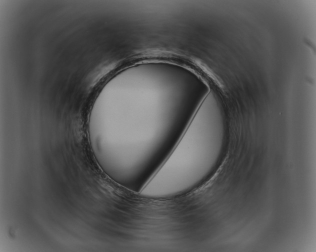 X0000091951213200709061032