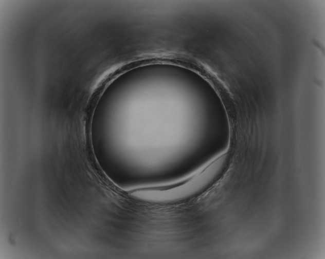 X0000091951214200709061032