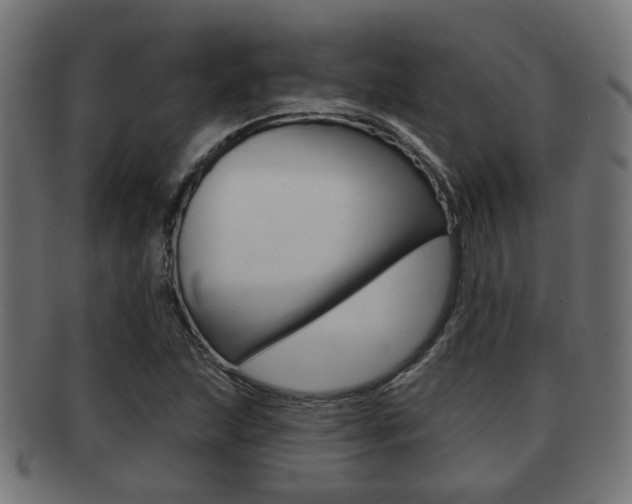 X0000091951215200709061032