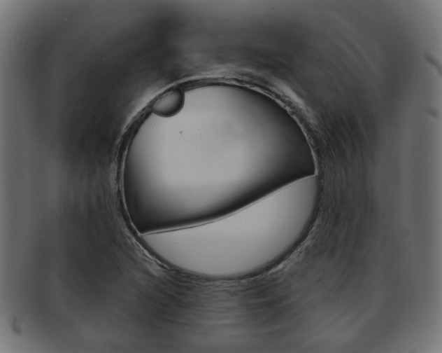 X0000091951216200709061032