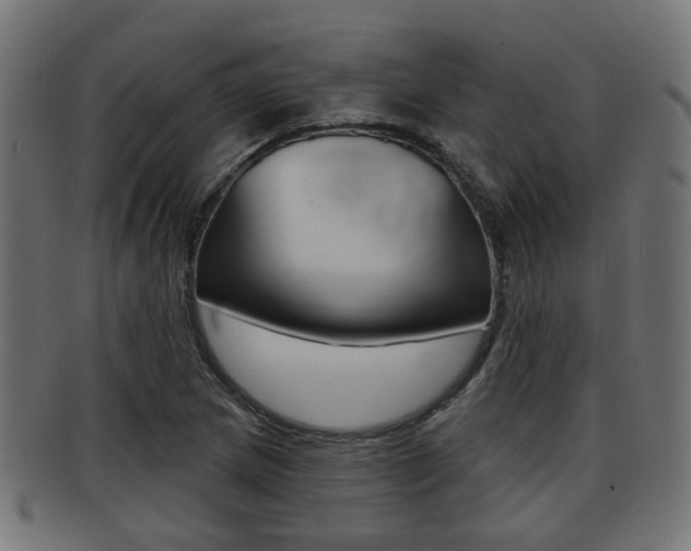 X0000091951217200709061032