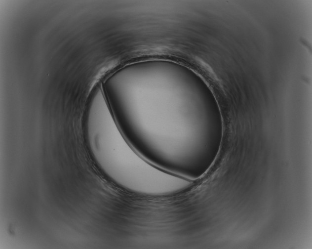 X0000091951218200709061032