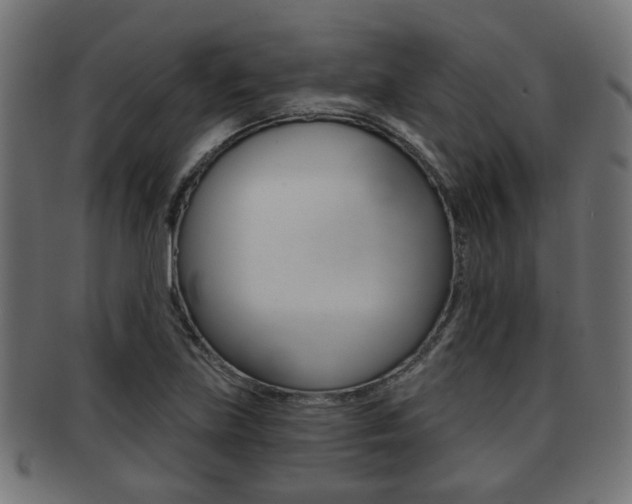 X0000091951219200709061032