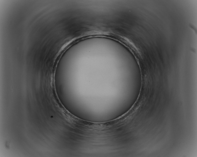 X0000091951220200709061032