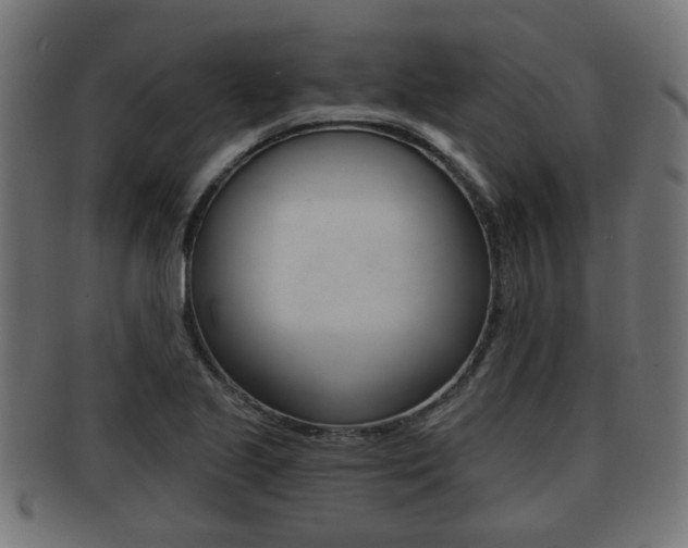 X0000091951221200709061032