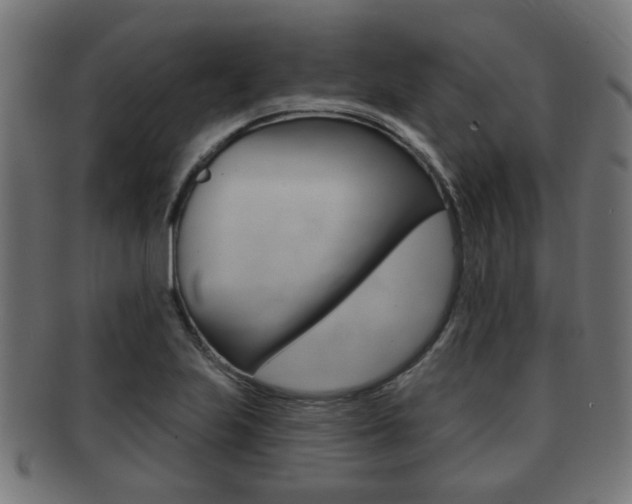 X0000091951223200709061033