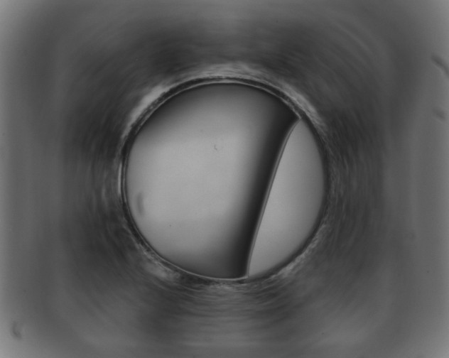 X0000091951224200709061033