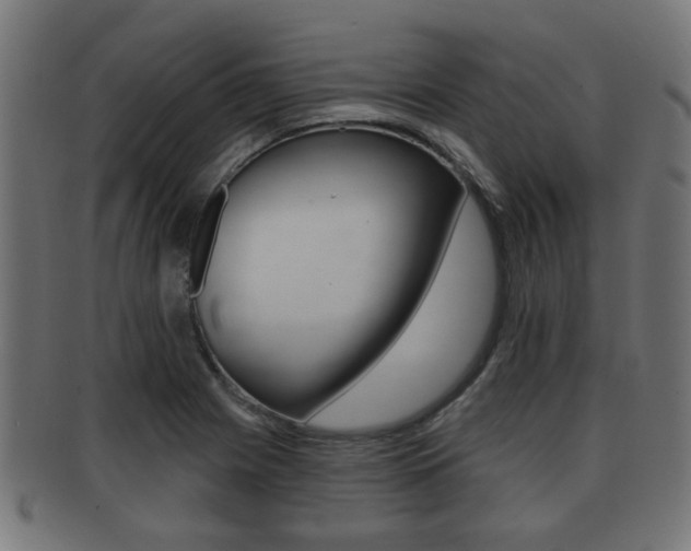 X0000091951225200709061033