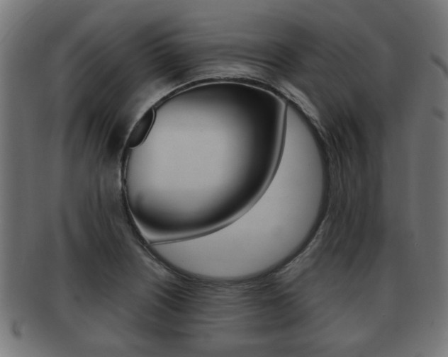 X0000091951226200709061033