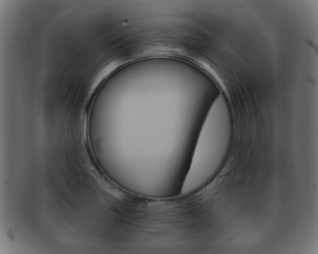 X0000091951227200709061033