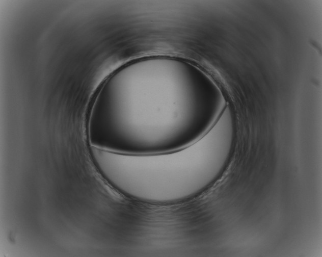 X0000091951230200709061033