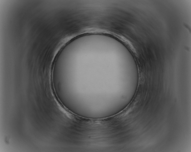 X0000091951231200709061033
