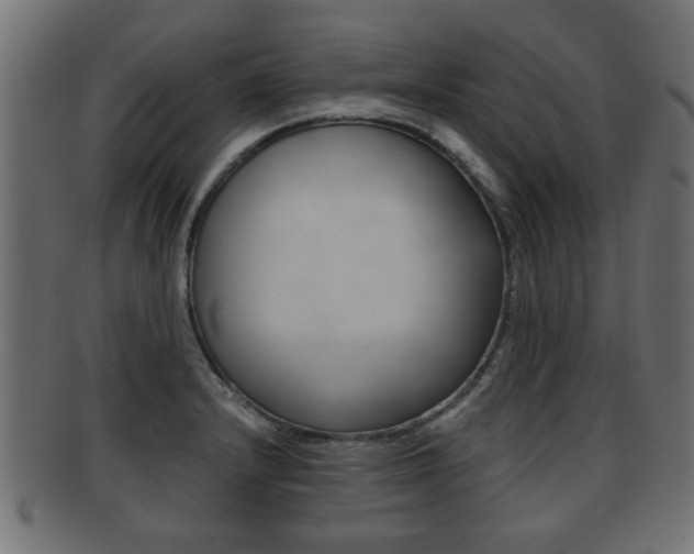 X0000091951232200709061033