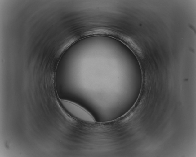 X0000091951233200709061033