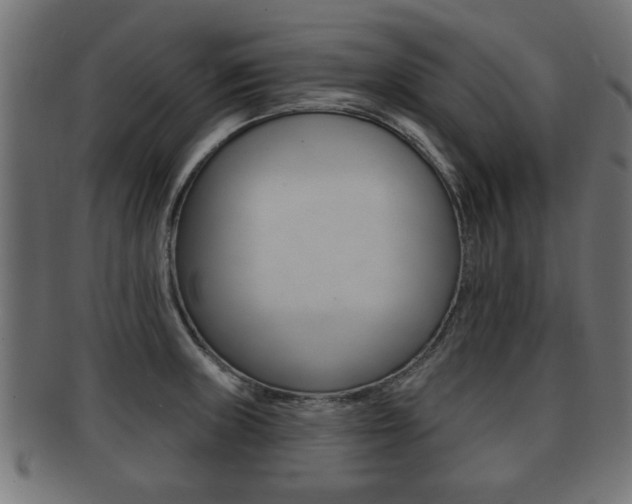 X0000091951235200709061033