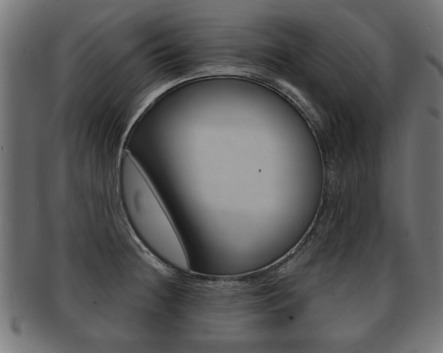 X0000091951236200709061033