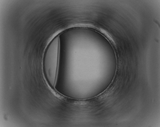 X0000091951237200709061033