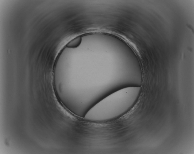 X0000091951239200709061033