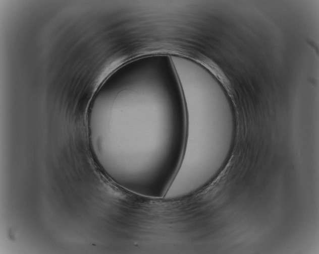 X0000091951242200709061033