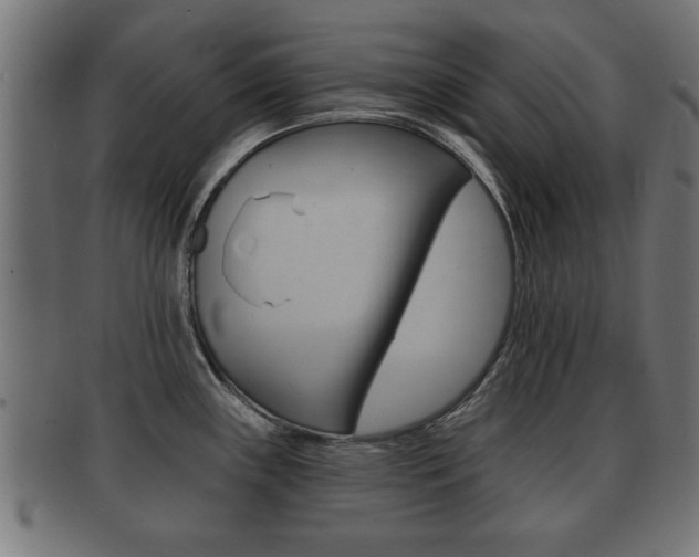 X0000091951243200709061033