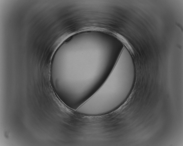 X0000091951244200709061033