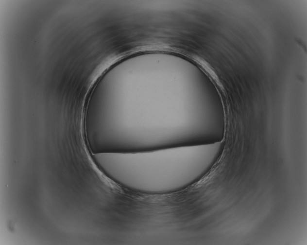 X0000091951245200709061033