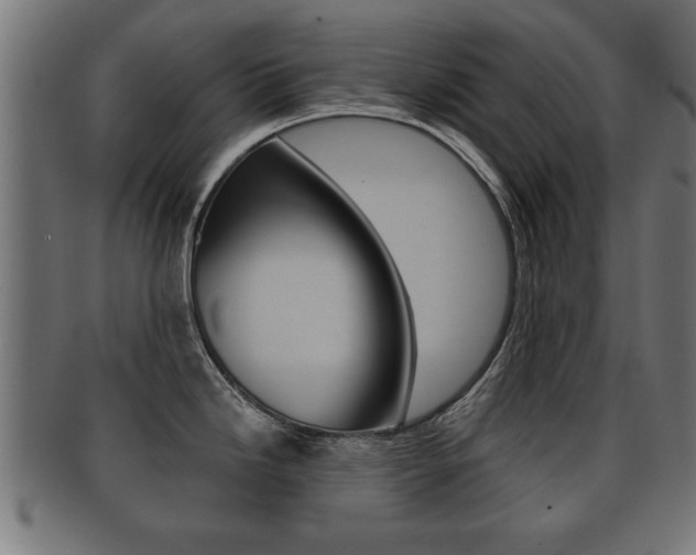 X0000091951246200709061033