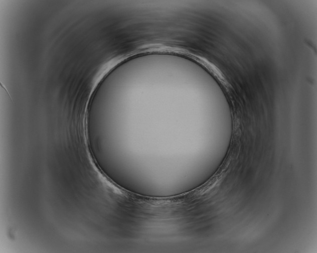 X0000091951247200709061033