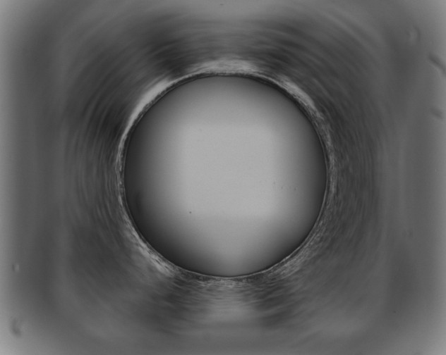X0000091951248200709061033