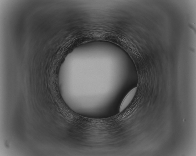 X0000091951249200709061032