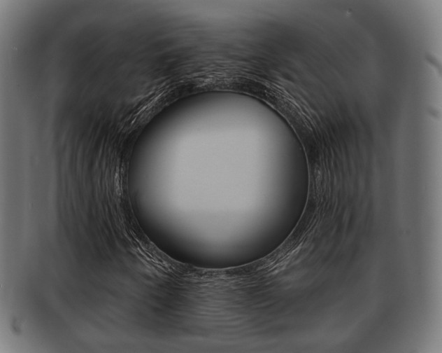 X0000091951250200709061032