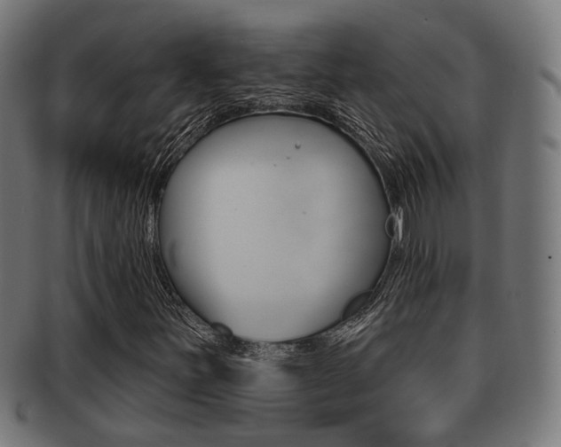 X0000091951251200709061032