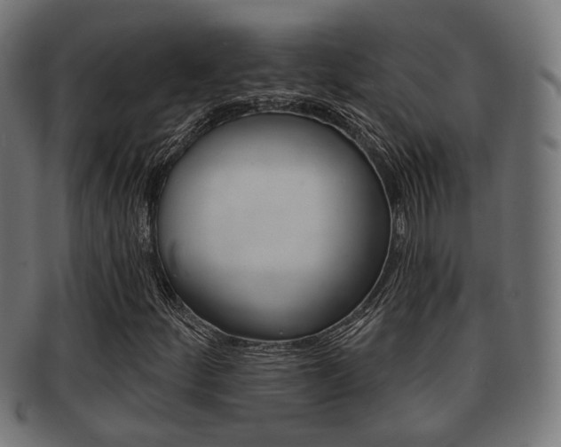 X0000091951252200709061032