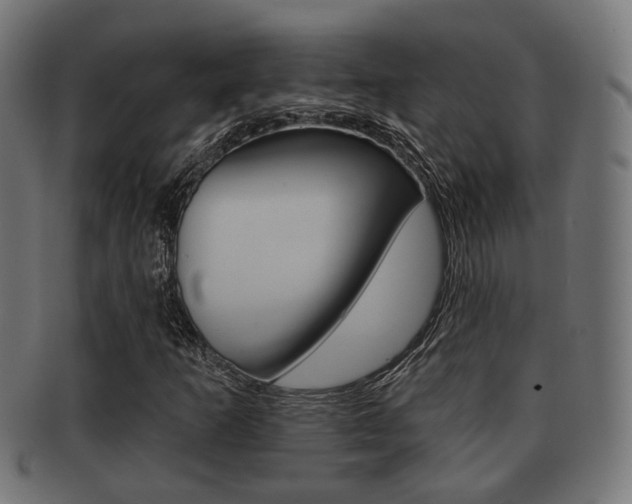 X0000091951253200709061032