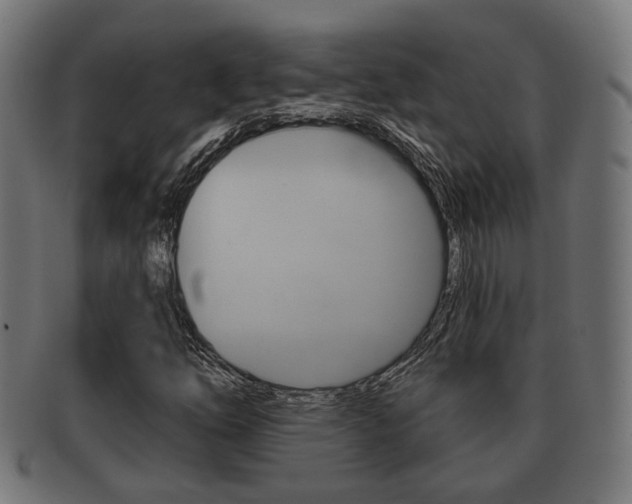 X0000091951254200709061032