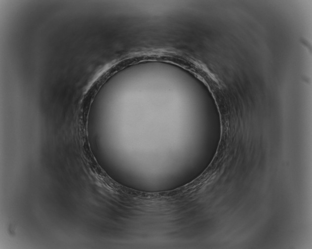 X0000091951256200709061032
