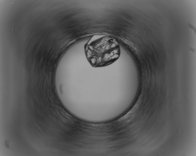 X0000091951257200709061032