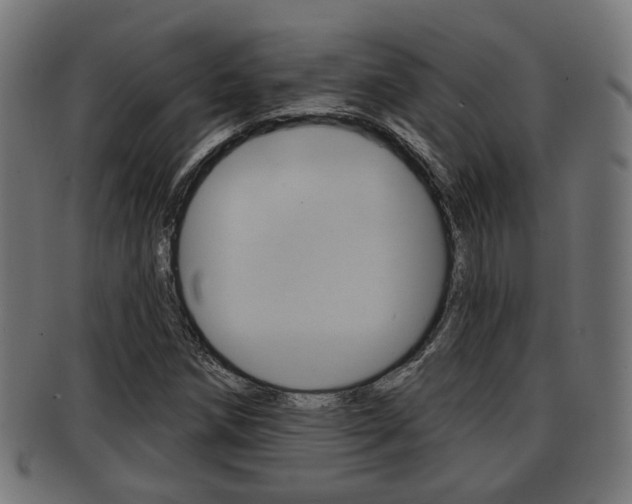 X0000091951258200709061032
