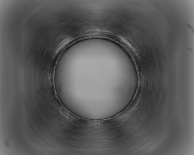 X0000091951259200709061032