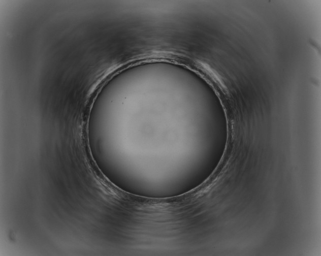 X0000091951260200709061032