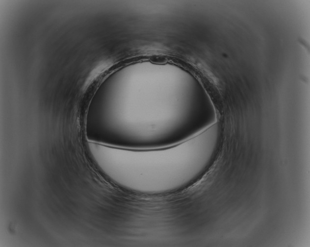 X0000091951261200709061032