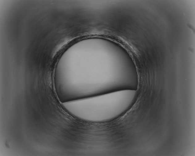 X0000091951262200709061032