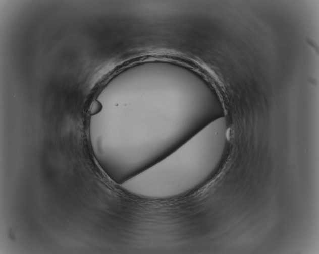 X0000091951263200709061032