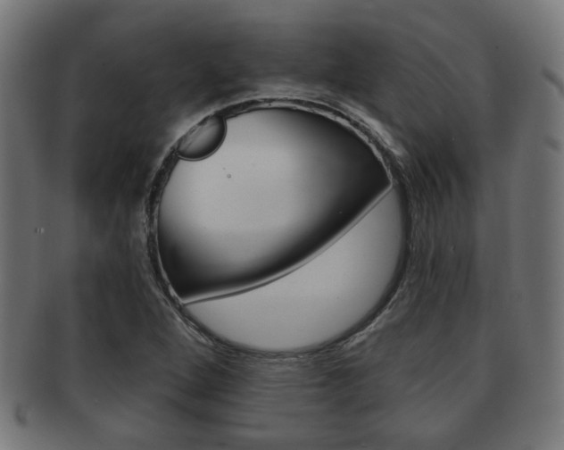 X0000091951264200709061032