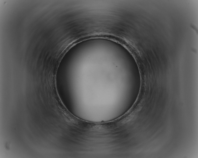 X0000091951265200709061032