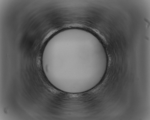 X0000091951266200709061032